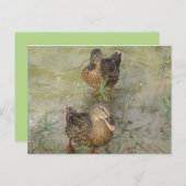 Nous vous envoyons une carte postale (Devant / Derrière)