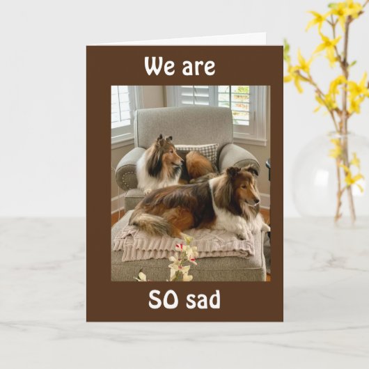 NOUS VOUS "MANQUERONS" TANT ! CARTE (Fleur jaune)