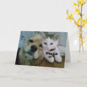 NOUS VOUS SOUHAITONS TOUS LES DEUX UNE CARTE "ANNI (Fleur jaune)