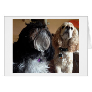 NOUS VOUS SOUHAITONS UN "ANNIVERSAIRE" TRÈS HEUREU