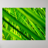 (Nouveau Arrivée) Affiche (Devant)