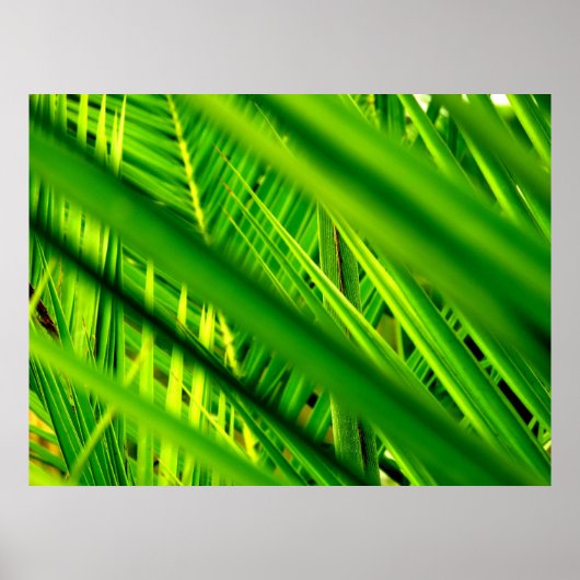 (Nouveau Arrivée) Affiche (Devant)