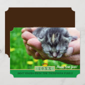 Nouveau Born Kitten et Bonne année! Carte /Chats (Devant / Derrière)