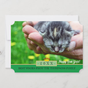 Nouveau Born Kitten et Bonne année! Carte /Chats