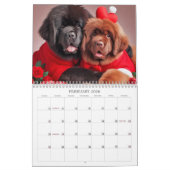 Nouveau calendrier 2026 (Feb 2026)