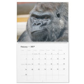 NOUVEAU Calendrier Gorilla 2026 (Feb 2027)