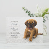 Nouveau Chien Chien Chien d'Adoption Faire-part Ph (Debout devant)