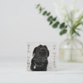 Nouveau cool ! Carte postale (Debout devant)