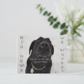 Nouveau cool ! Carte postale (Debout devant)