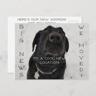 Nouveau cool ! Carte postale