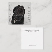 Nouveau cool ! Carte postale (Devant / Derrière)