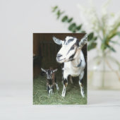 Nouveau Doeling avec la carte postale de chèvre de (Debout devant)