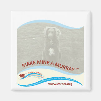 Nouveau Faire De La Mine Un Magnet Murray