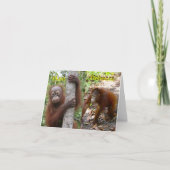 Nouveau Faire-part bébé (Devant)