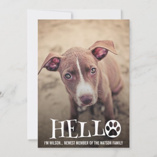 NOUVEAU FAIRE-PART D'ADOPTION DE PET INVITATION PH (Devant)