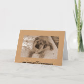 Nouveau Faire-part de chiot (Dos)