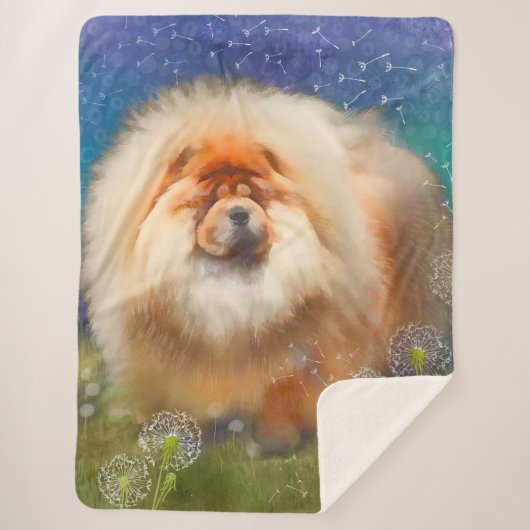 Nouveau lien vers la grande couverture de Nava (Devant)