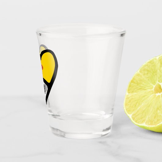 Nouveau-Mexique NM Drapeau D'État En Verre De Tir (Droite)