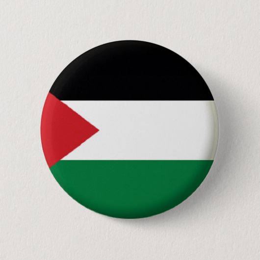NOUVEAU ! ! - PALESTINE NIP BADGE DE RETOUR (Devant)