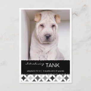 Nouveau Pet Retro Circles B&W Photo Faire-part