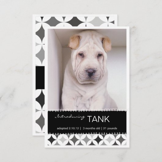 Nouveau Pet Retro Circles B&W Photo Faire-part (Devant / Derrière)