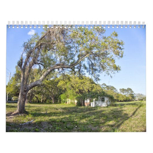 Nouveau pour 2026 Calendrier mural de Pawleys Isla (Protection)