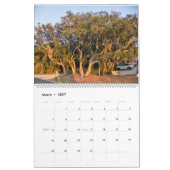 Nouveau pour 2026 Calendrier mural grand format de (Mar 2027)