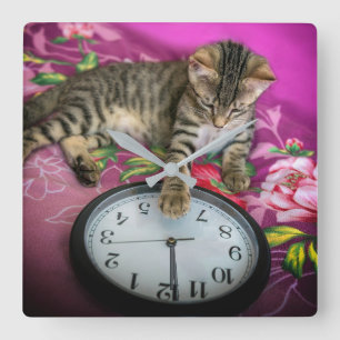 Nouvel An Horloge Chat 12 minuit Compte rendu