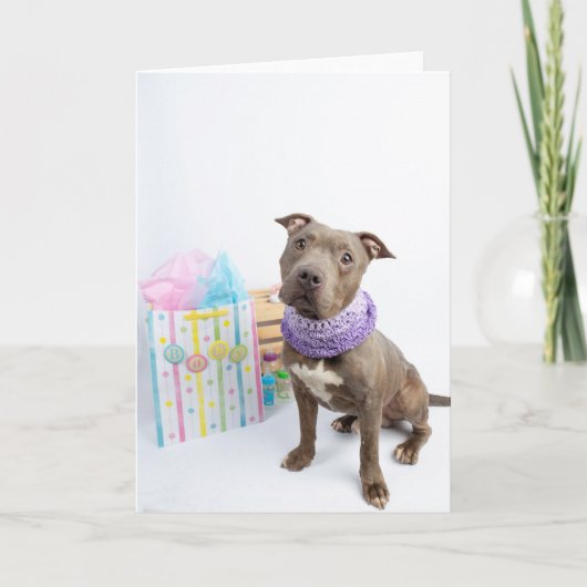 Nouvelle carte bébé (Devant)