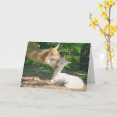 Nouvelle carte Cria (Fleur jaune)