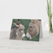 Nouvelle carte de bébé d'âne (Dos)