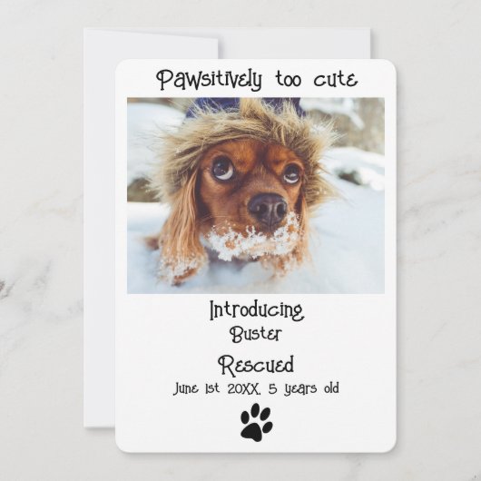 Nouvelle carte de Faire-part pour chien de compagn (Devant)