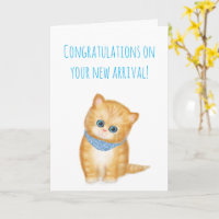 Nouvelle carte de félicitations ginger kitten pour