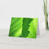 Nouvelle Carte Feuille verte pour emploi "Nouveau (Devant)