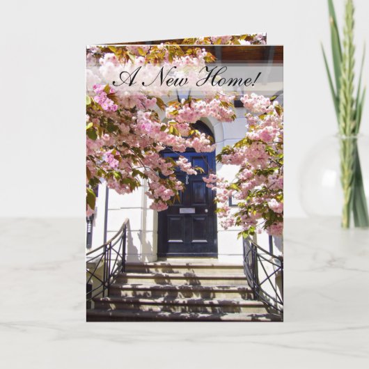 NOUVELLE CARTE HOME ~ (Devant)