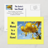 Nouvelle carte postale d'adresse Déplacée vers les (Devant / Derrière)