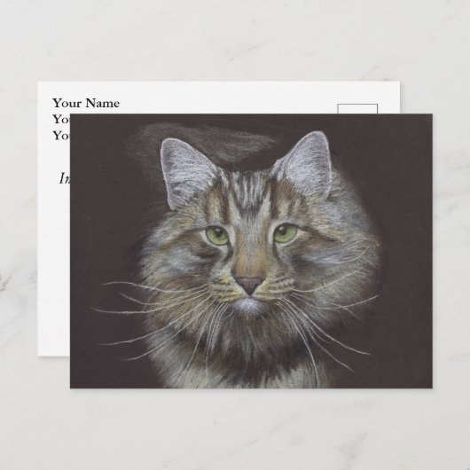 Nouvelle carte postale Faire-part pour animaux (Devant / Derrière)