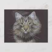 Nouvelle carte postale Faire-part pour animaux (Devant)