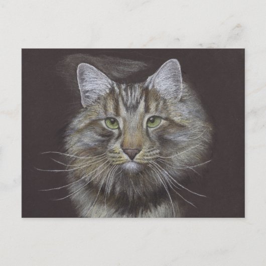 Nouvelle carte postale Faire-part pour animaux (Devant)