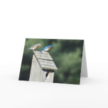 Nouvelle Édition Familiale, carte