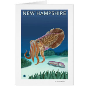 Nouvelle scène de HampshireCuttlefish