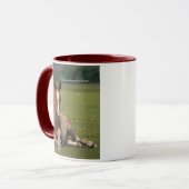Nouvelle tasse de poulain de forêt (Devant gauche)