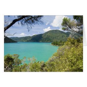 Nouvelle-Zélande, île du Sud, Marlborough Sounds.