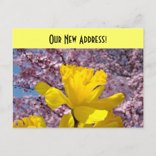 Nouvelles cartes postales d'adresse Nous avons dém