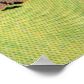 "Nov Shmoz Ka Pop?" Poster (Hoek)