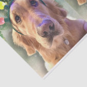 Nova de Golden Retriever-kerstkrant Tissuepapier (Detail)