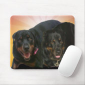 Nova & Neo Muismat (Met muis)