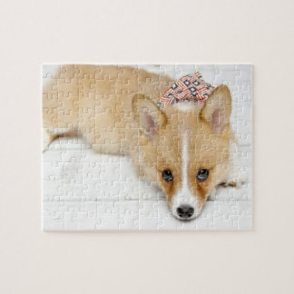 Nova Puzzle Legpuzzel