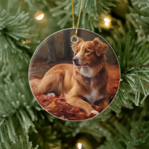 Nova Scotia Duck Terrier in herfstbladeren valt Keramisch Ornament