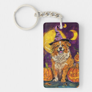 Nova Scotia Duck Toller Halloween Heksenpompoen Sleutelhanger